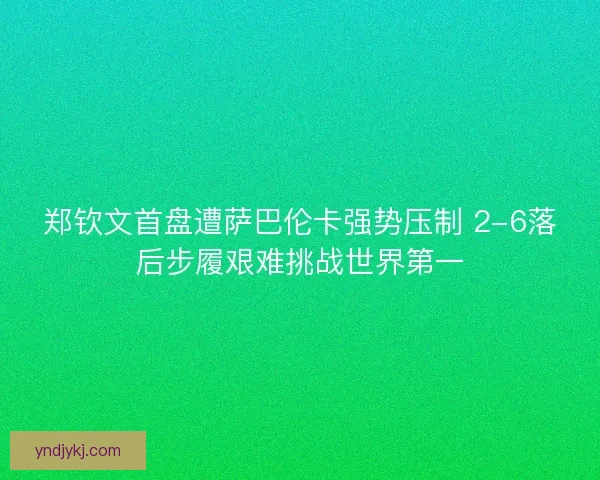 郑钦文首盘遭萨巴伦卡强势压制 2-6落后步履艰难挑战世界第一 郑钦文首盘遭萨巴伦卡强势压制 2-6落后步履艰难挑战世界第一