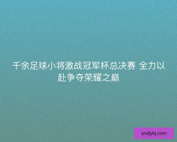 千余足球小将激战冠军杯总决赛 全力以赴争夺荣耀之巅