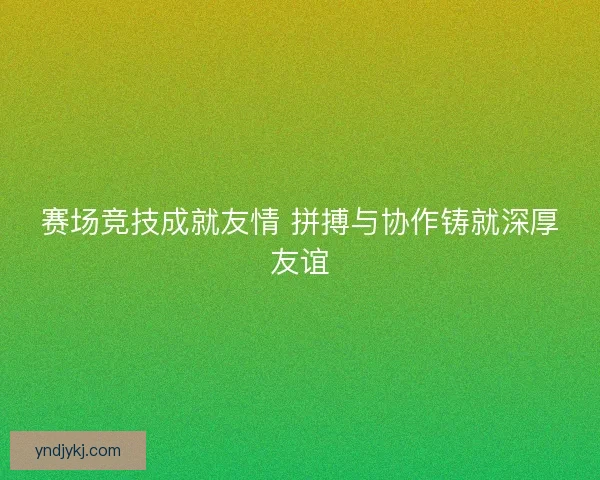 赛场竞技成就友情 拼搏与协作铸就深厚友谊